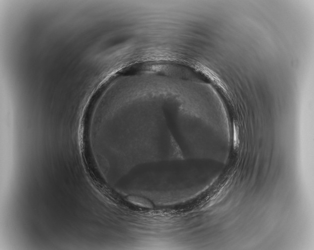 X0000096410627200801311353