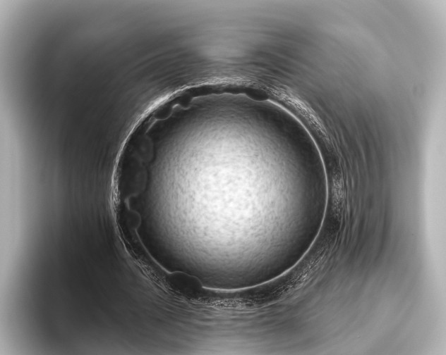 X0000096410628200801311353