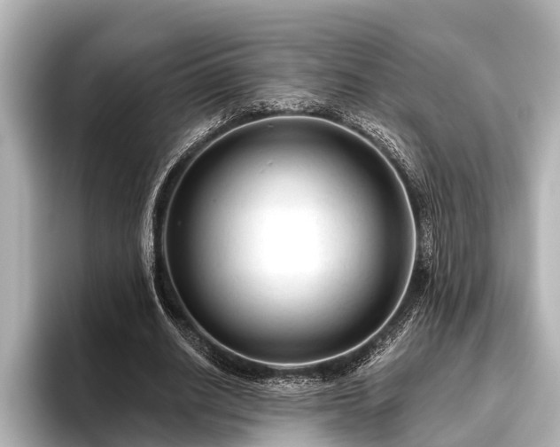 X0000096410630200801311353