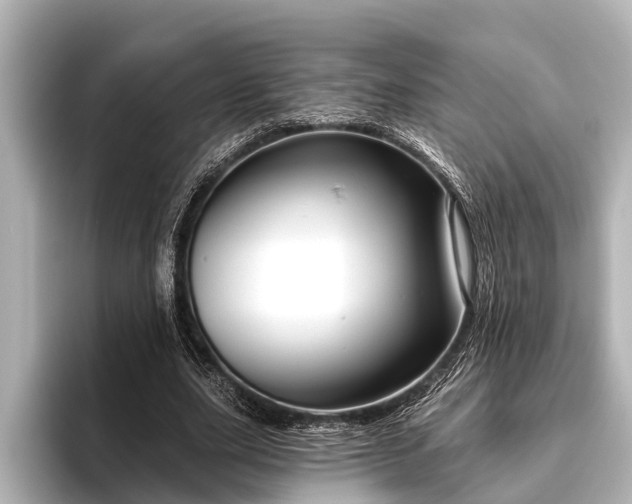 X0000096410631200801311353