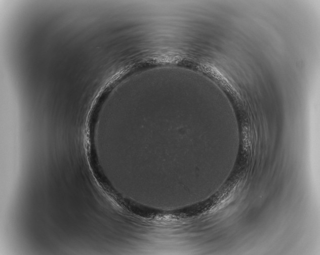 X0000096410634200801311353
