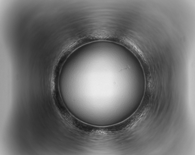X0000096410635200801311353