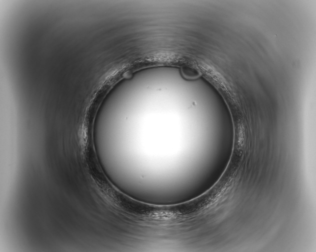 X0000096410636200801311353