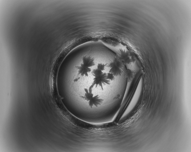 X0000096410637200801311353
