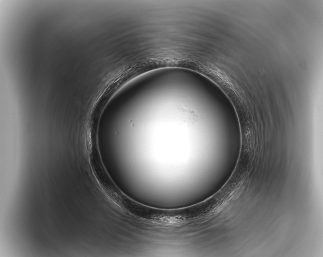 X0000096410638200801311353