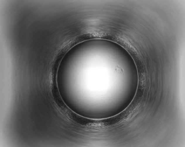 X0000096410639200801311353