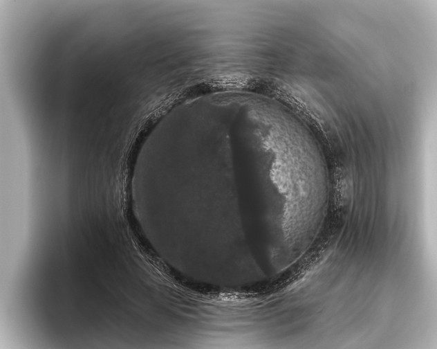 X0000096410641200801311353