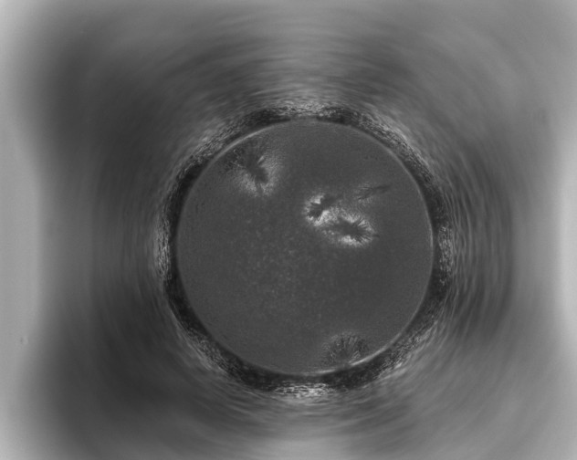 X0000096410642200801311353