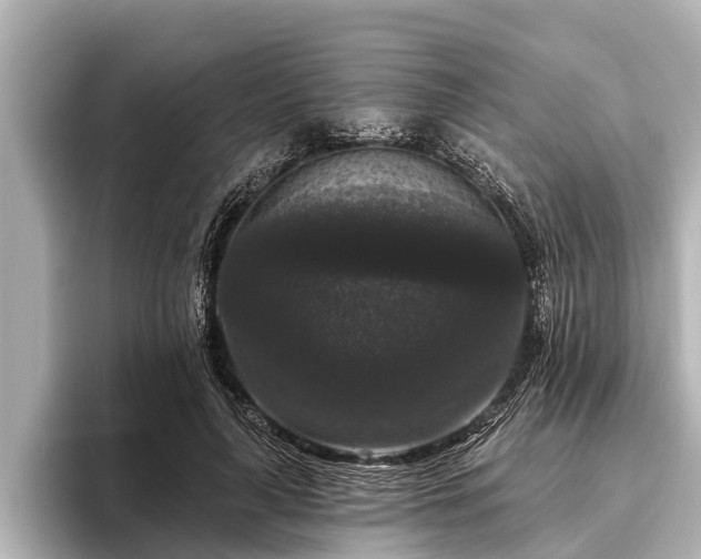 X0000096410643200801311353