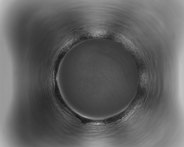 X0000096410644200801311353