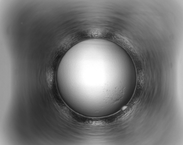 X0000096410645200801311353