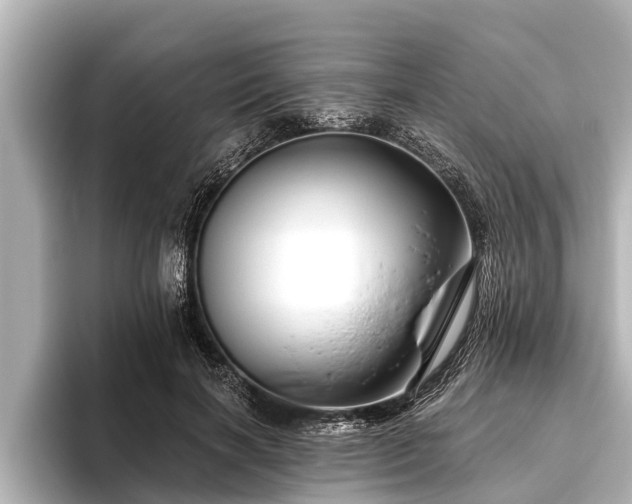 X0000096410646200801311353