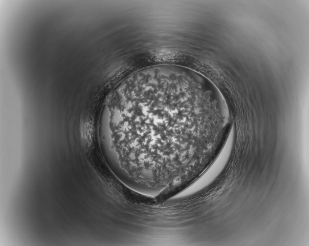 X0000096410648200801311353