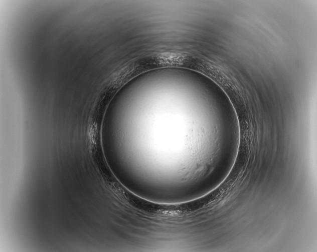 X0000096410649200801311353
