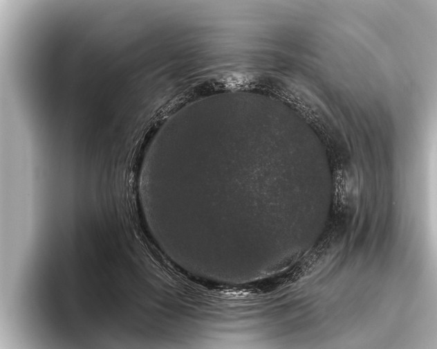 X0000096410650200801311353