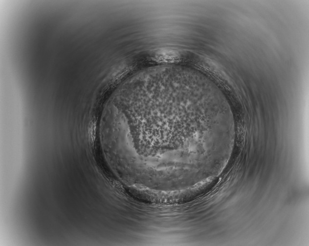 X0000096410652200801311353