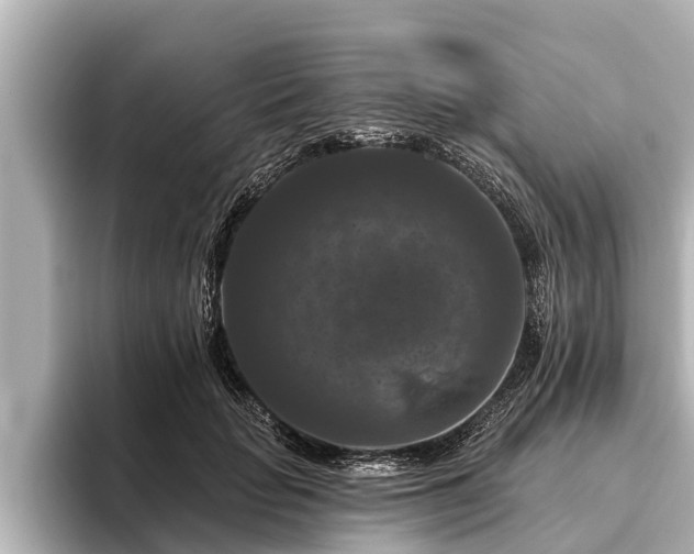 X0000096410653200801311353