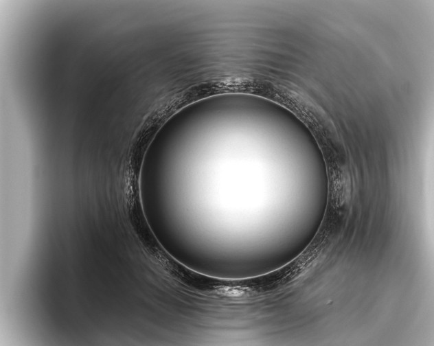 X0000096410654200801311353