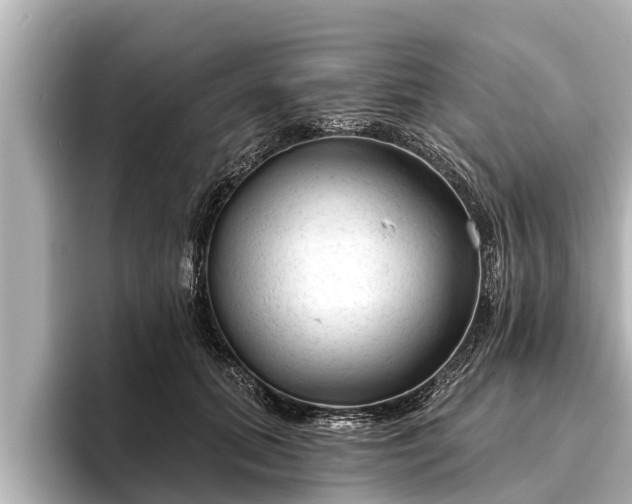 X0000096410655200801311353