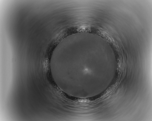 X0000096410659200801311353