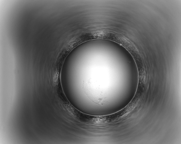 X0000096410660200801311353
