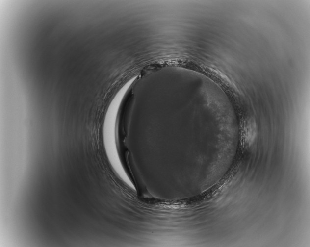 X0000096410661200801311353