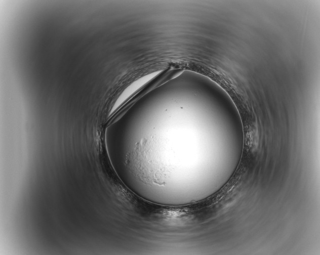 X0000096410662200801311353