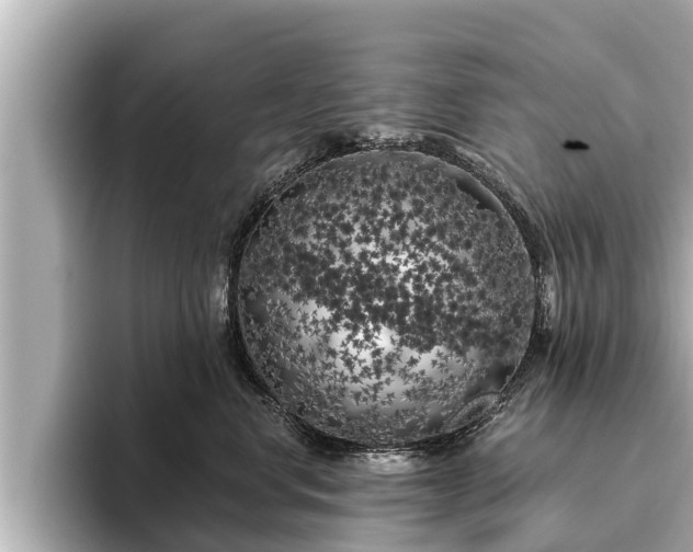 X0000096410668200801311353