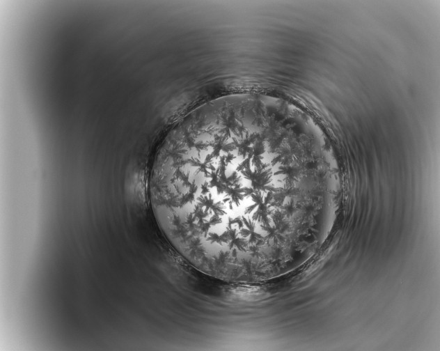 X0000096410669200801311353