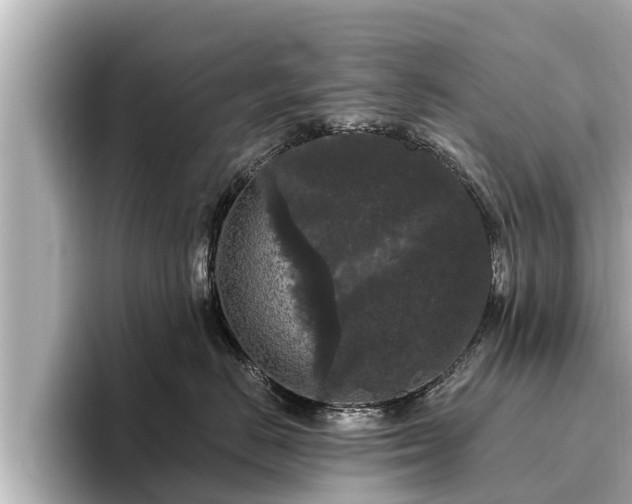 X0000096410670200801311353