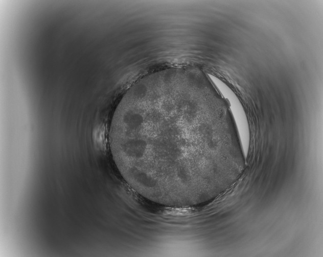 X0000096410671200801311353