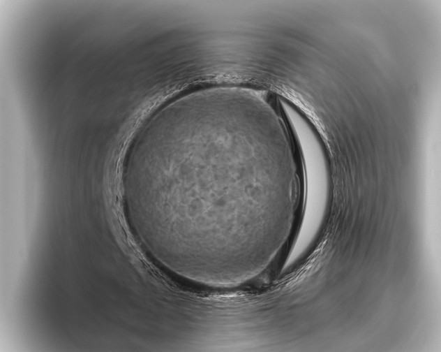 X0000096410673200801311353