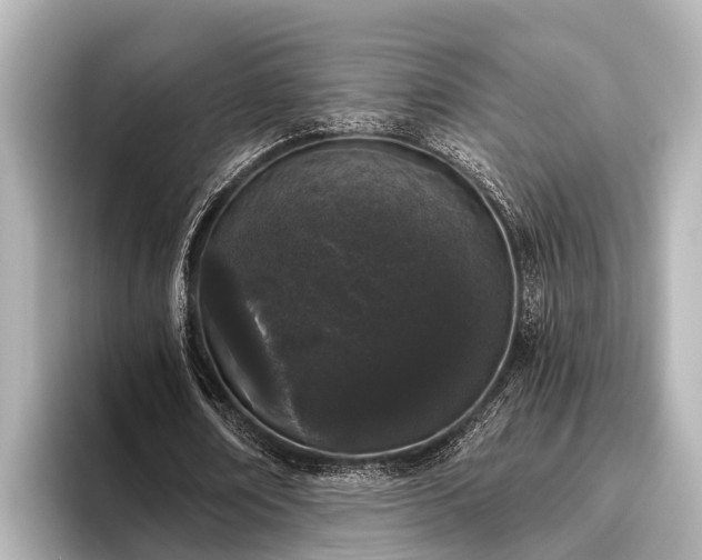 X0000096410674200801311353