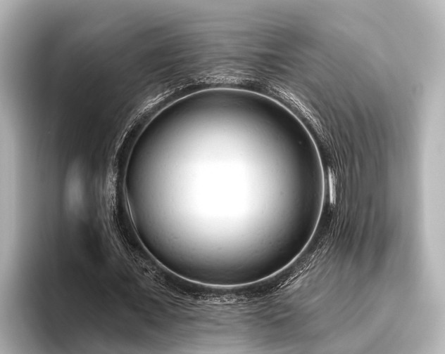 X0000096410675200801311353