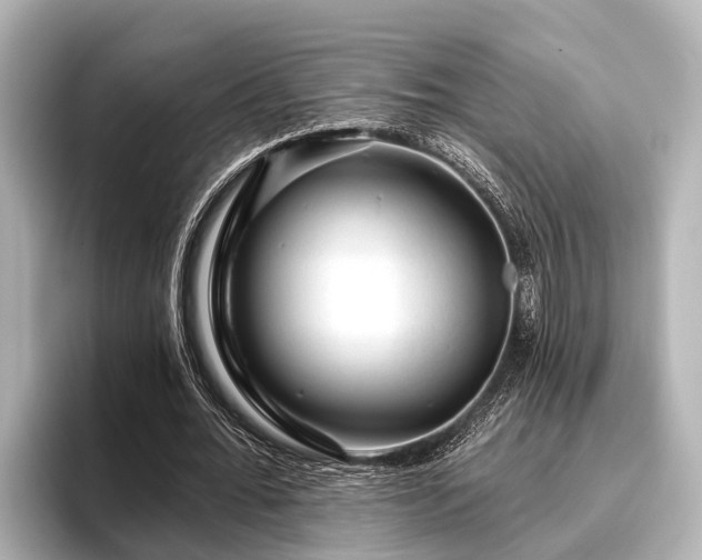 X0000096410676200801311353