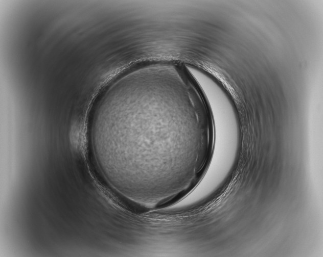 X0000096410677200801311353
