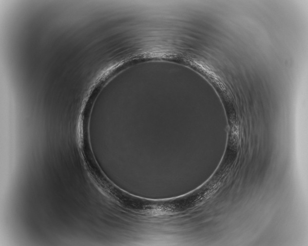 X0000096410678200801311353