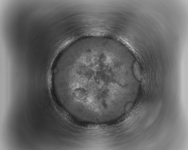 X0000096410679200801311353