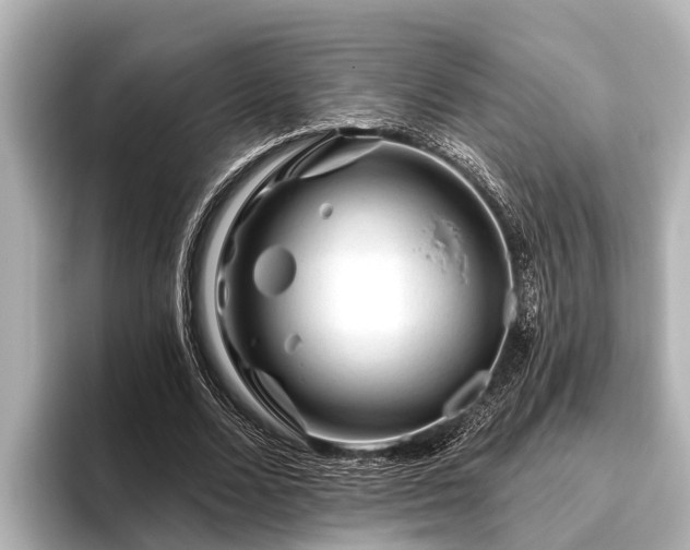 X0000096410680200801311353