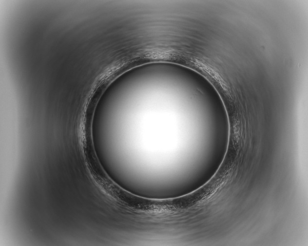 X0000096410682200801311353