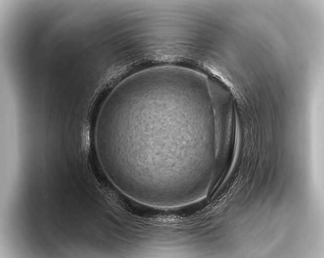 X0000096410685200801311353