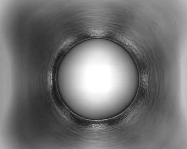 X0000096410686200801311353