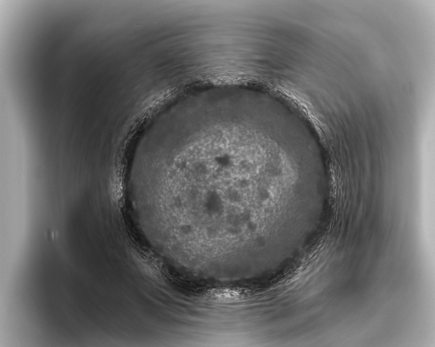 X0000096410687200801311353