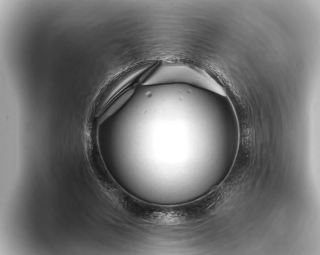 X0000096410688200801311353