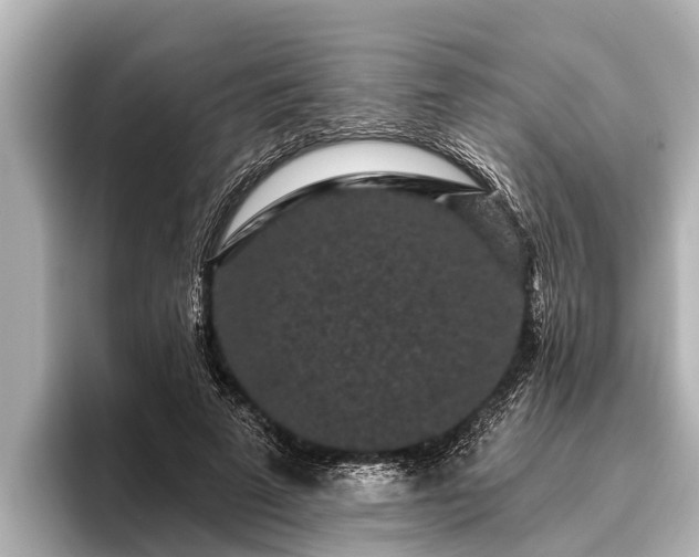 X0000096410689200801311353