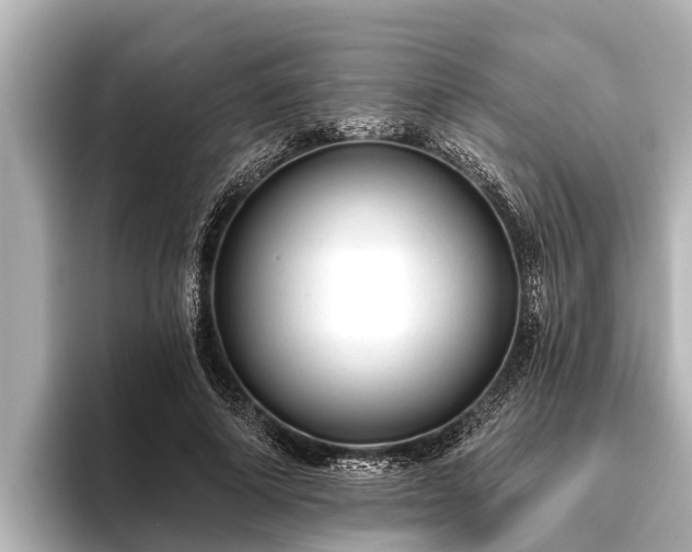 X0000096410690200801311353