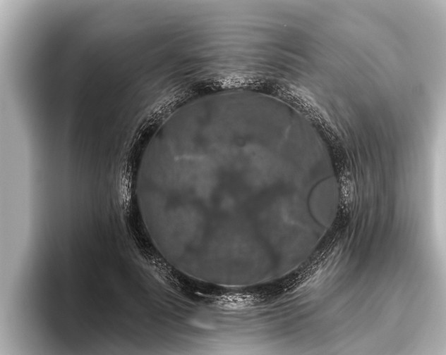 X0000096410691200801311353