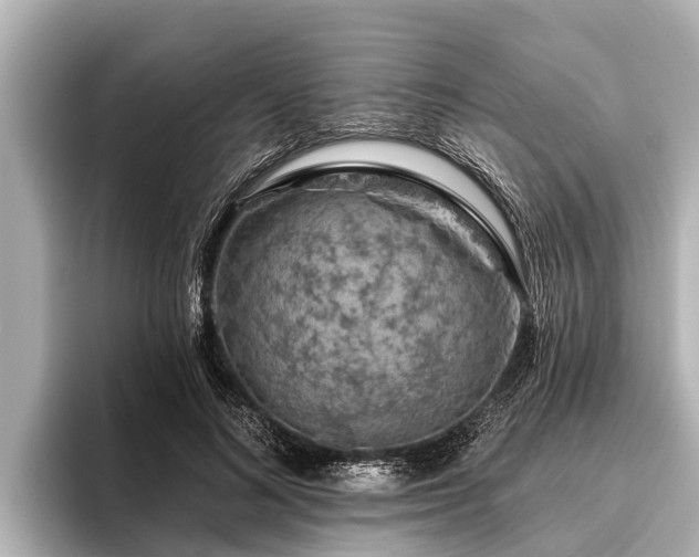 X0000096410692200801311352