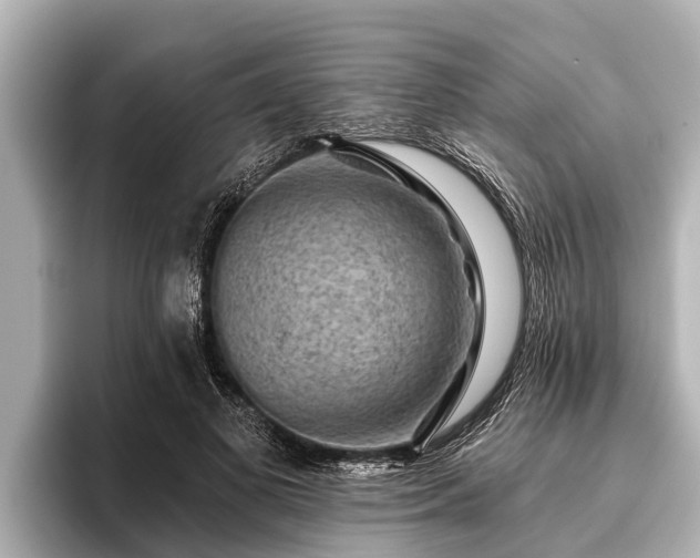X0000096410693200801311352