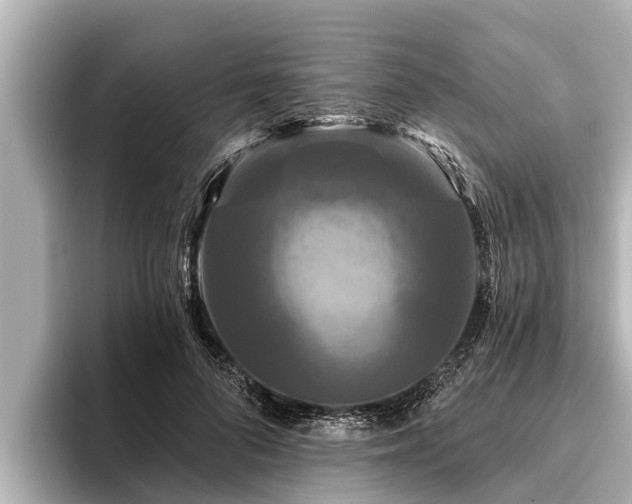 X0000096410696200801311352